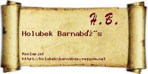 Holubek Barnabás névjegykártya